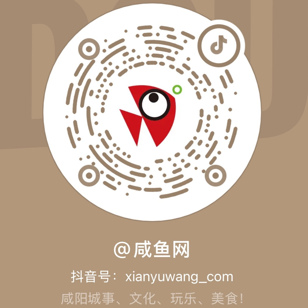 咸鱼网抖音号