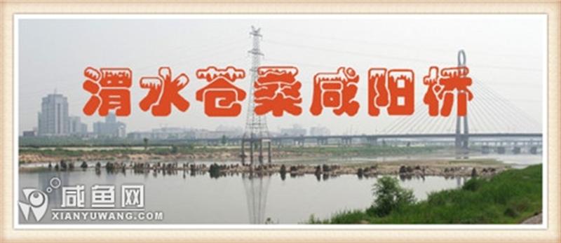咸阳桥 (1).jpg