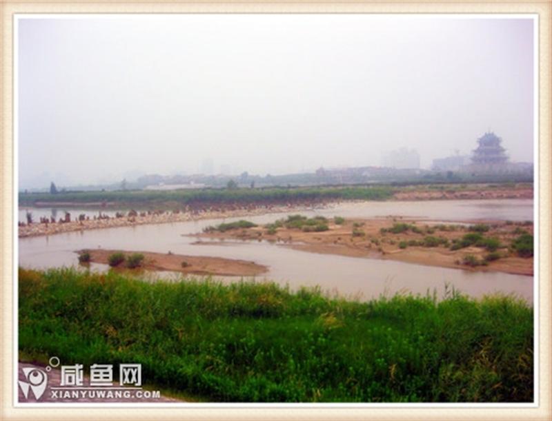 咸阳桥 (2).jpg