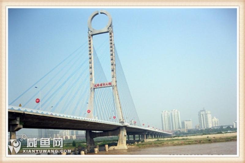 咸阳桥 (5).jpg