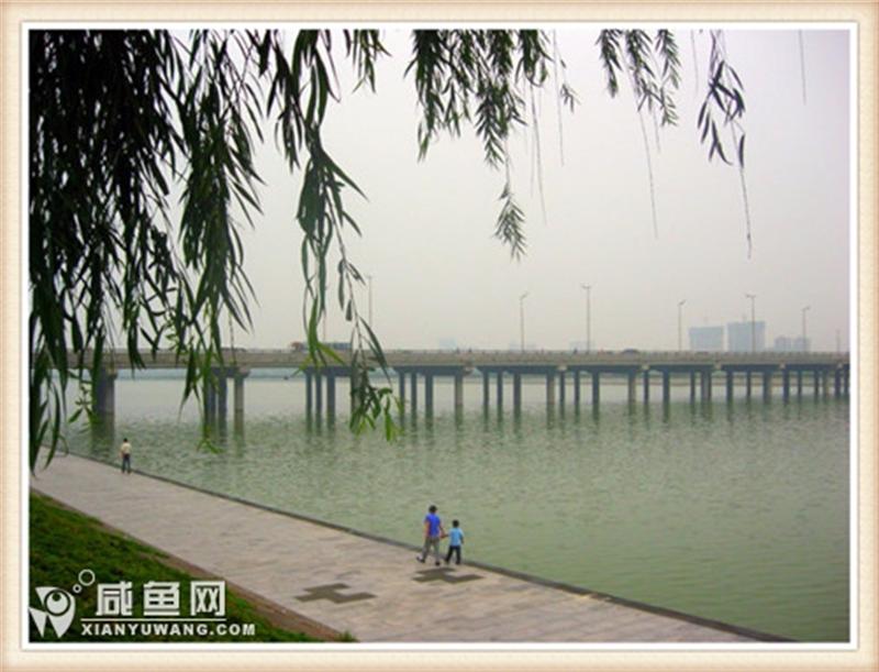 咸阳桥 (6).jpg