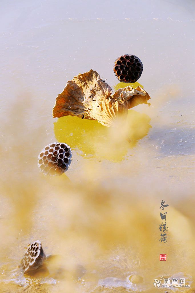 2Y5A9092_副本.jpg