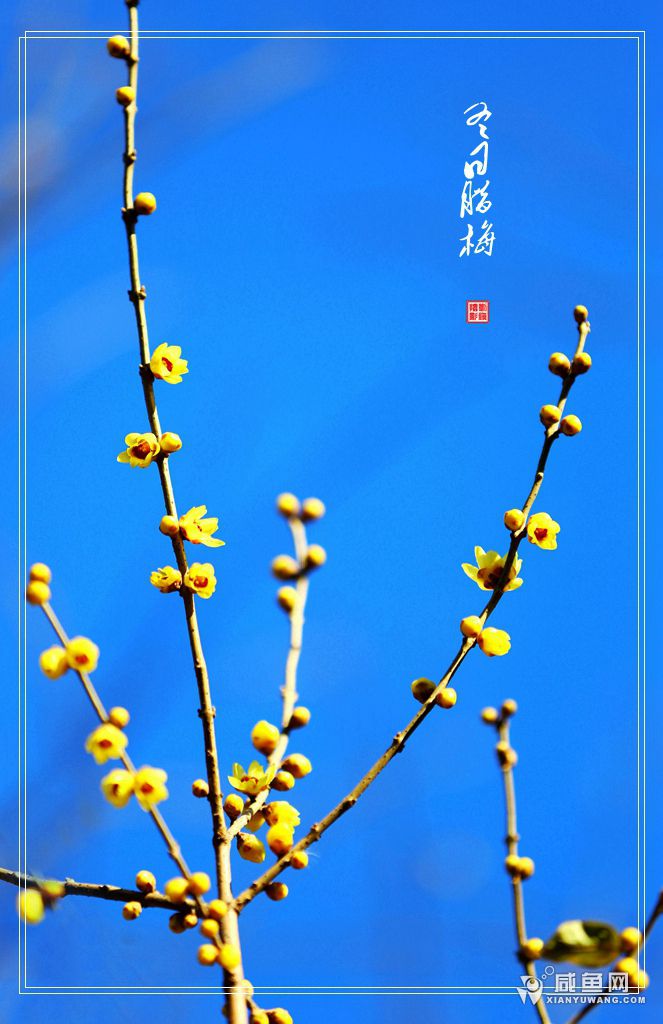 2Y5A9608.JPG