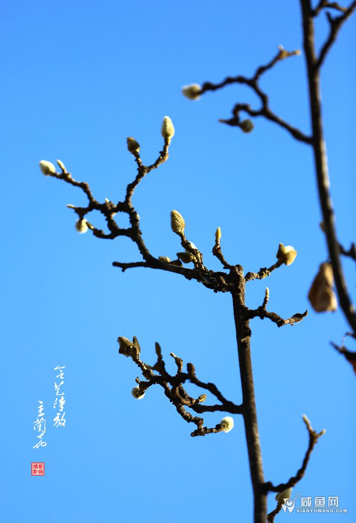 2Y5A9584.JPG