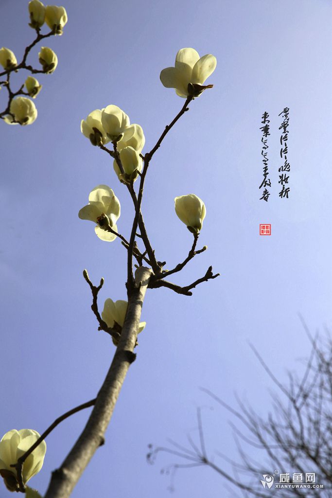 2Y5A1808_副本.jpg