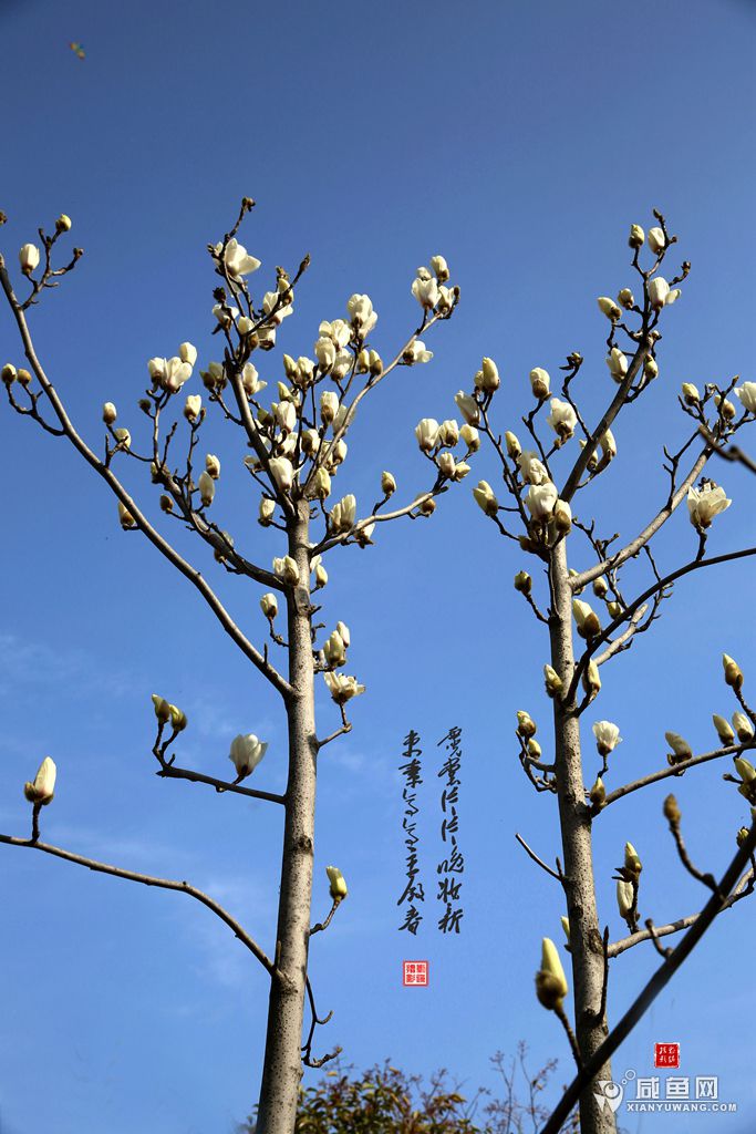 2Y5A1812_副本.jpg