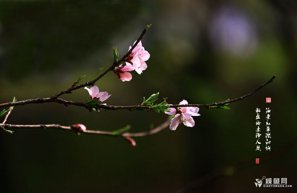 2Y5A3744_副本.jpg