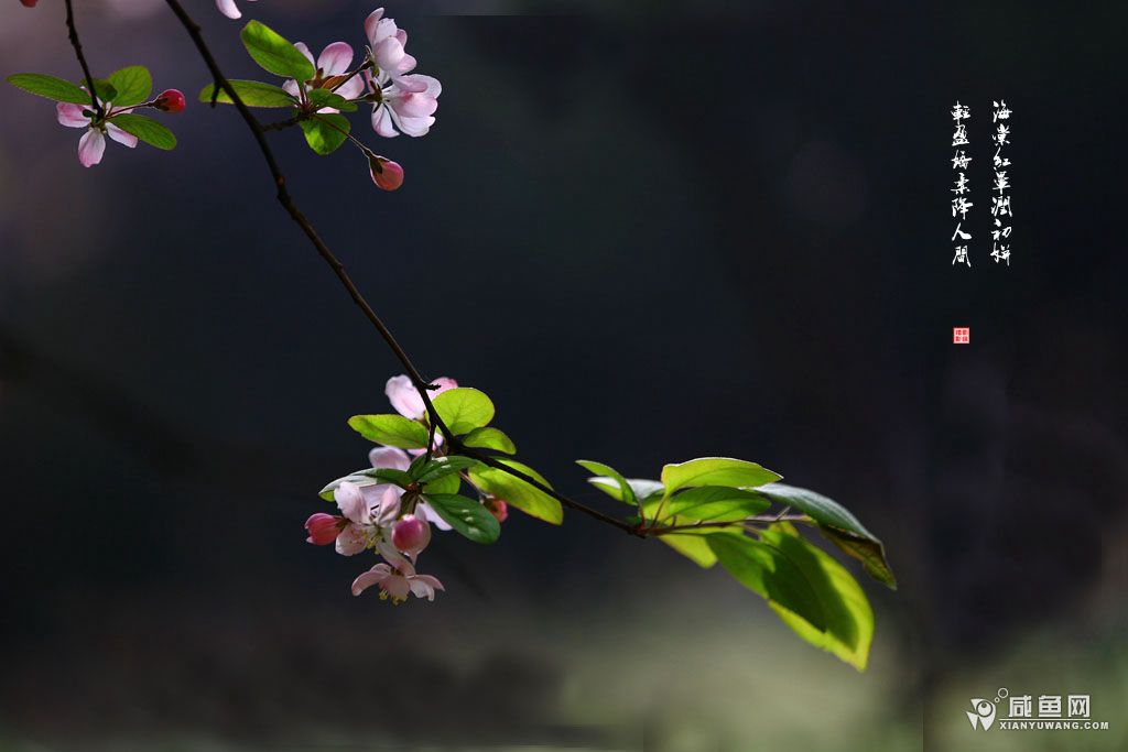 2Y5A3756_副本.jpg