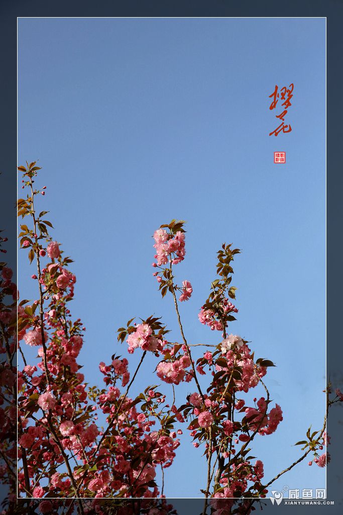 2Y5A5683_副本.jpg