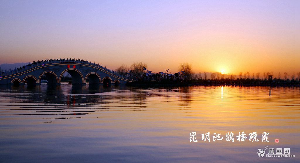 2Y5A1170_副本.jpg