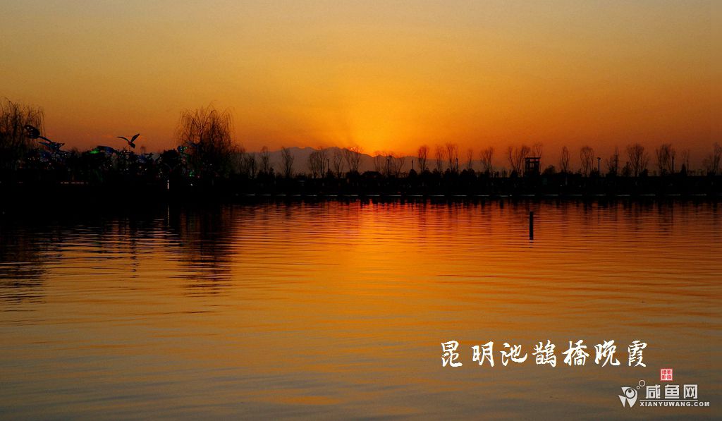 2Y5A1195_副本.jpg