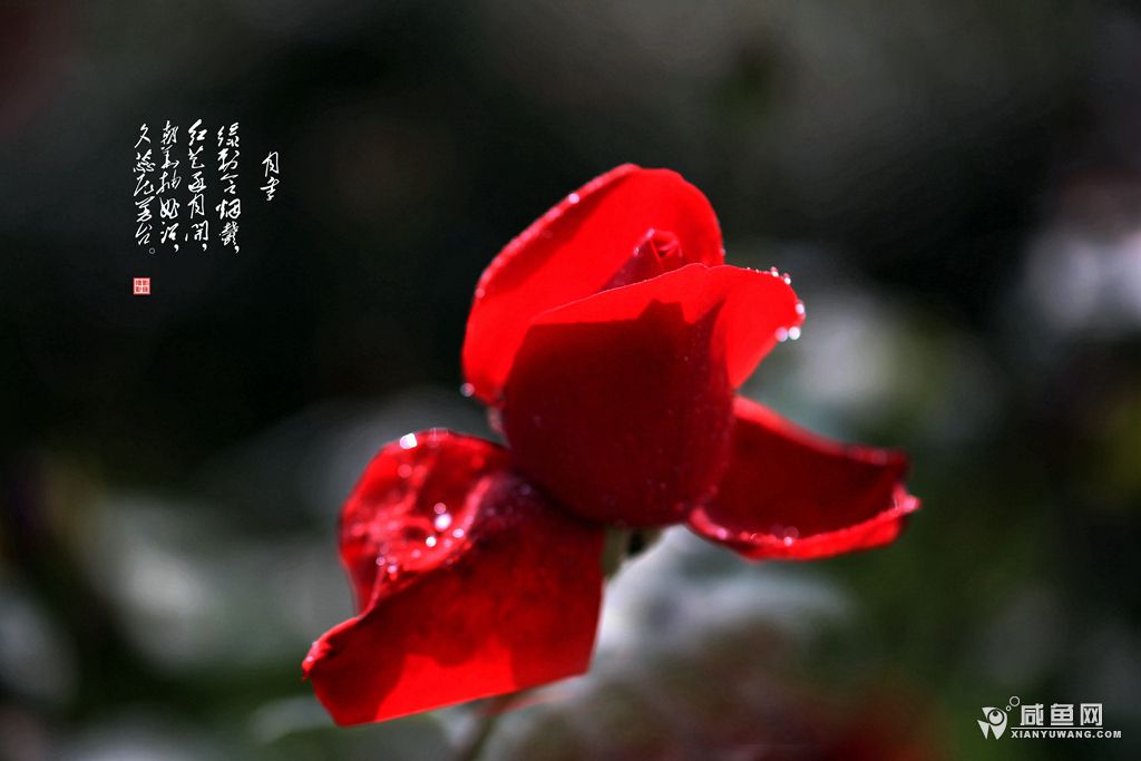 2Y5A8038_副本.jpg
