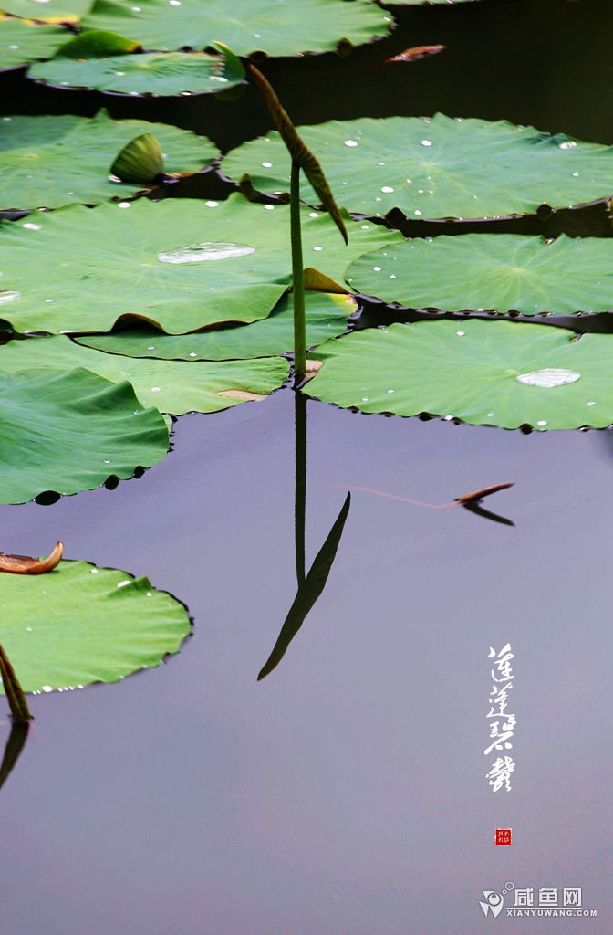 2Y5A4057_副本.jpg