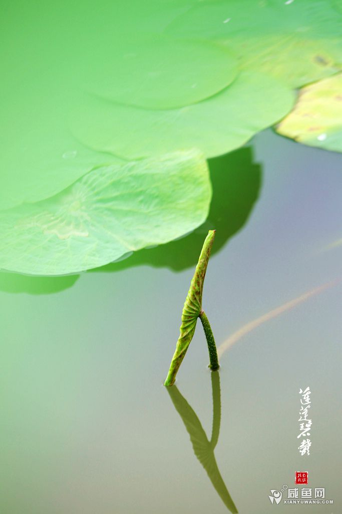 2Y5A4101_副本.jpg