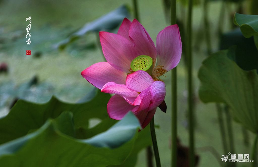2Y5A4655_副本.jpg