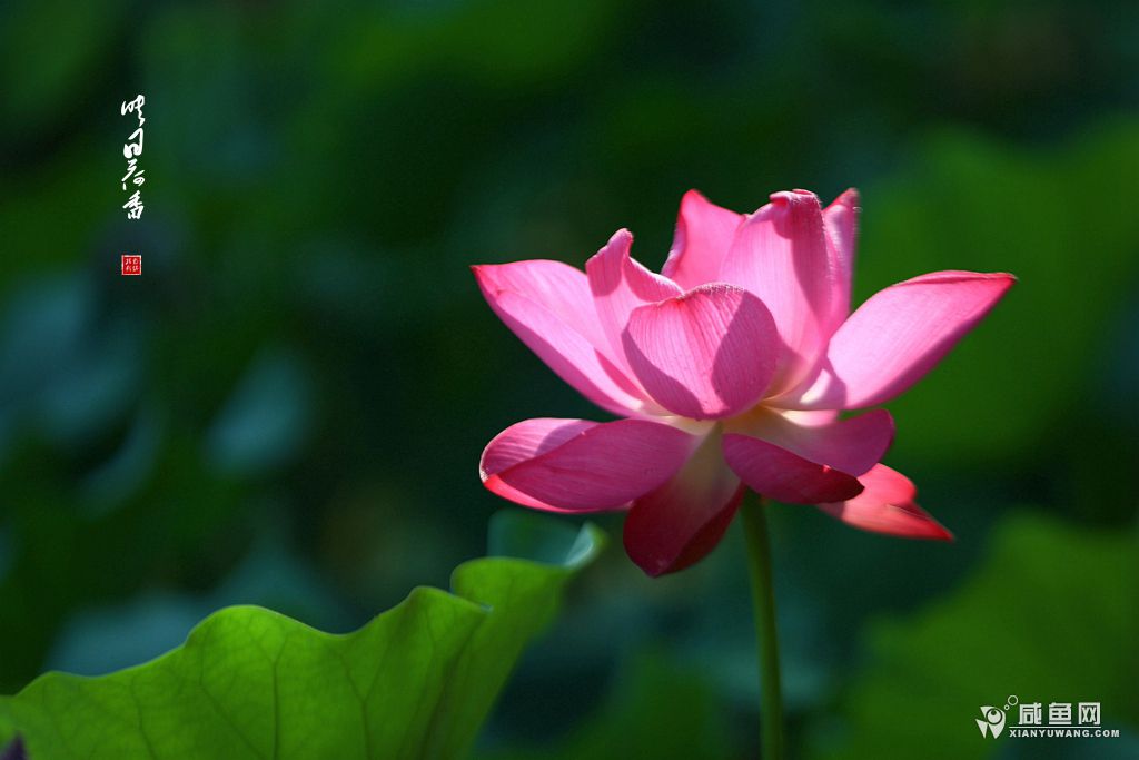 2Y5A4666_副本.jpg