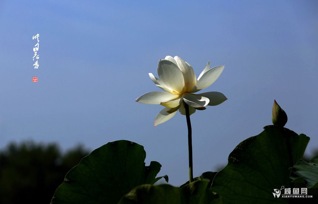 2Y5A4792_副本.jpg