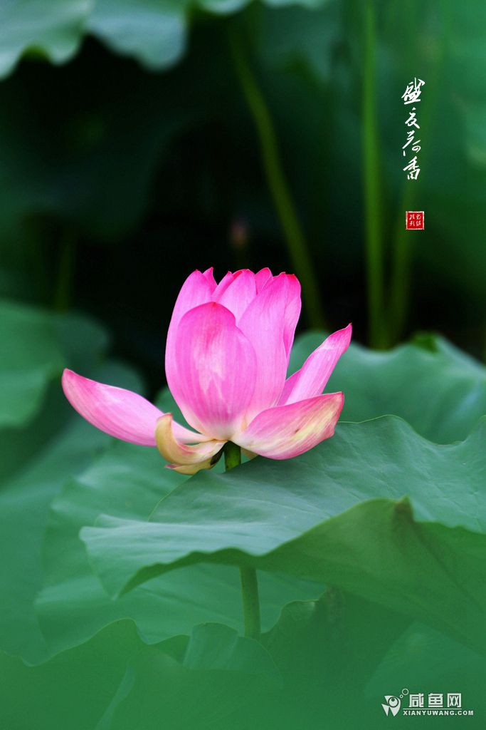 2Y5A4103_副本.jpg