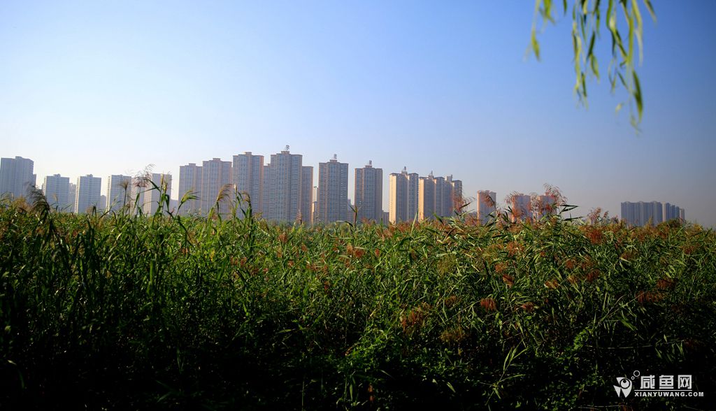 2Y5A5339_副本.jpg