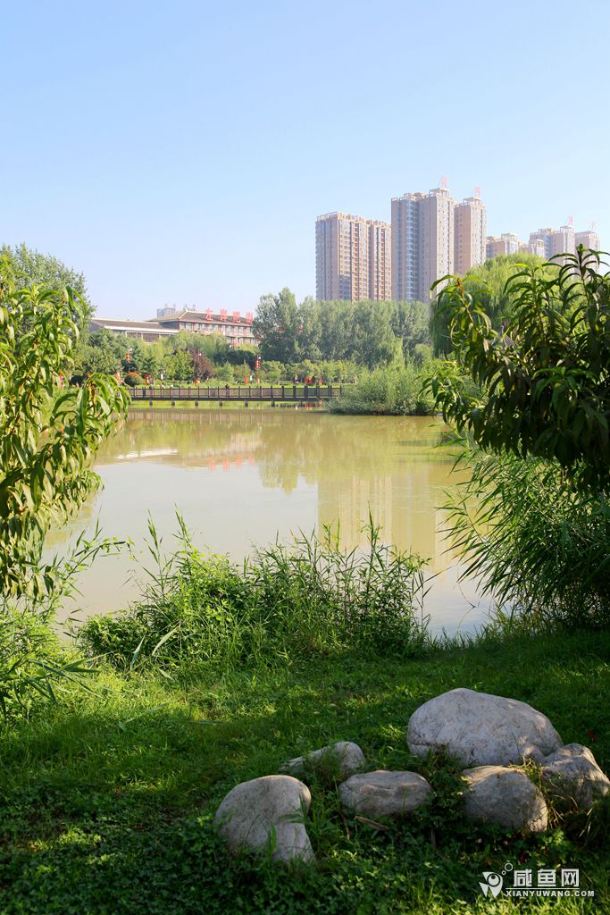 2Y5A5352_副本.jpg