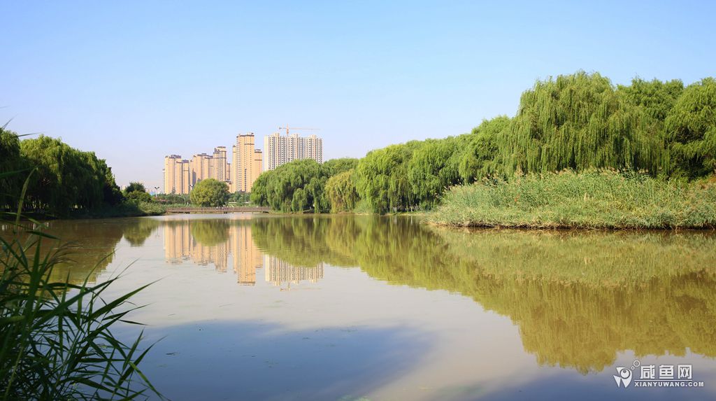 2Y5A5384_副本.jpg