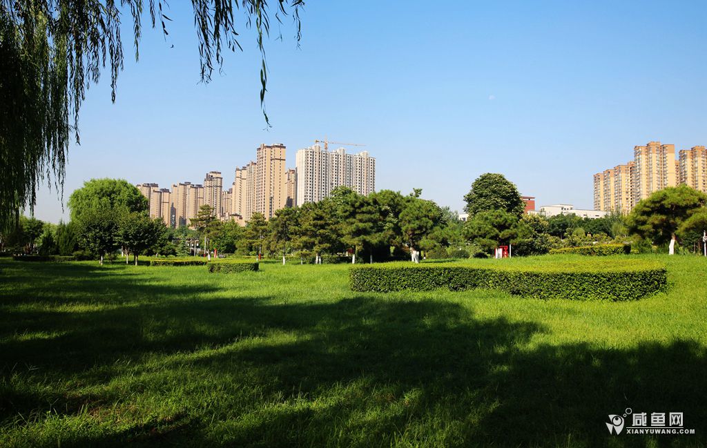 2Y5A5418_副本.jpg