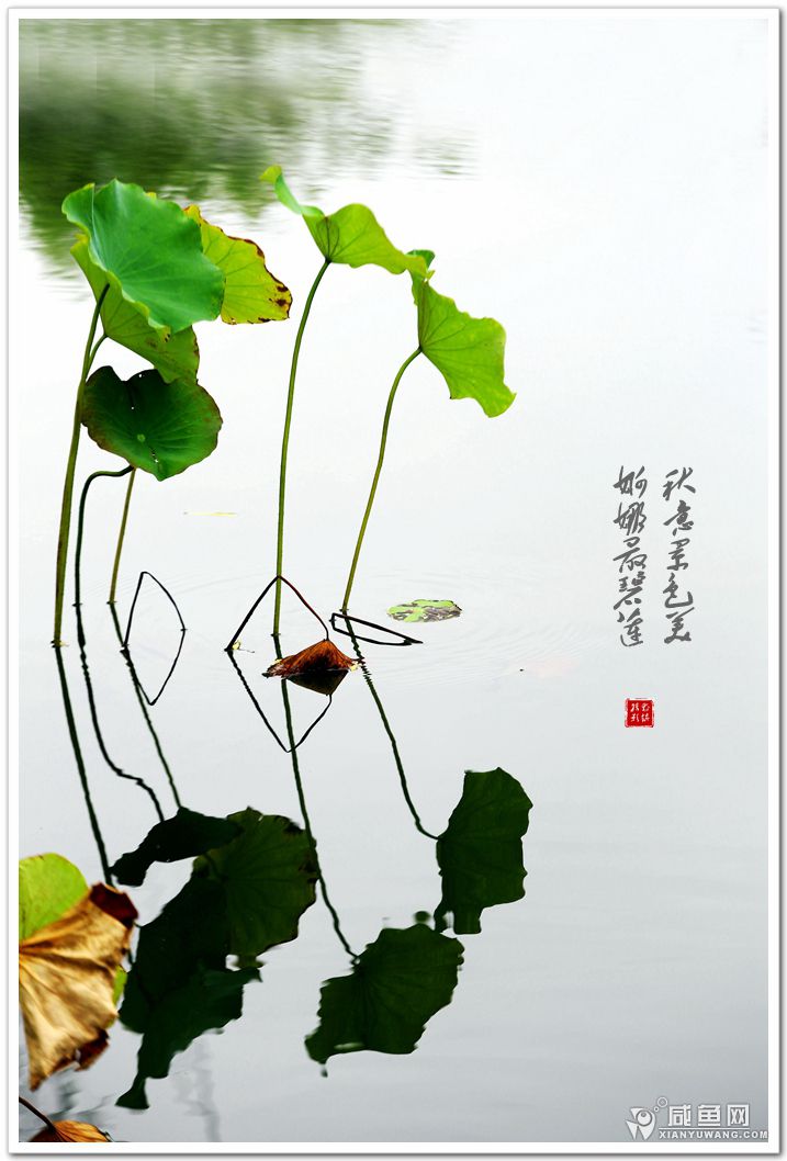 2Y5A6072_副本.jpg