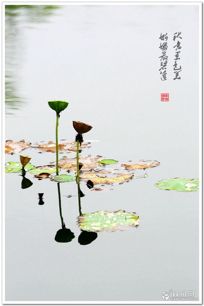2Y5A6071_副本.jpg