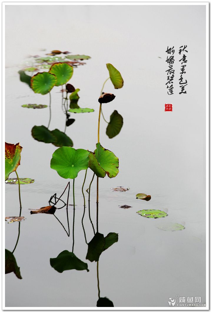 2Y5A6099_副本.jpg