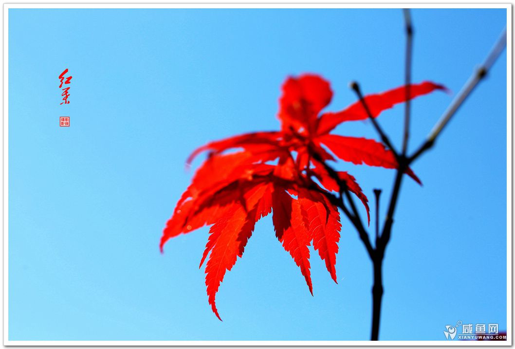 2Y5A6119_副本.jpg