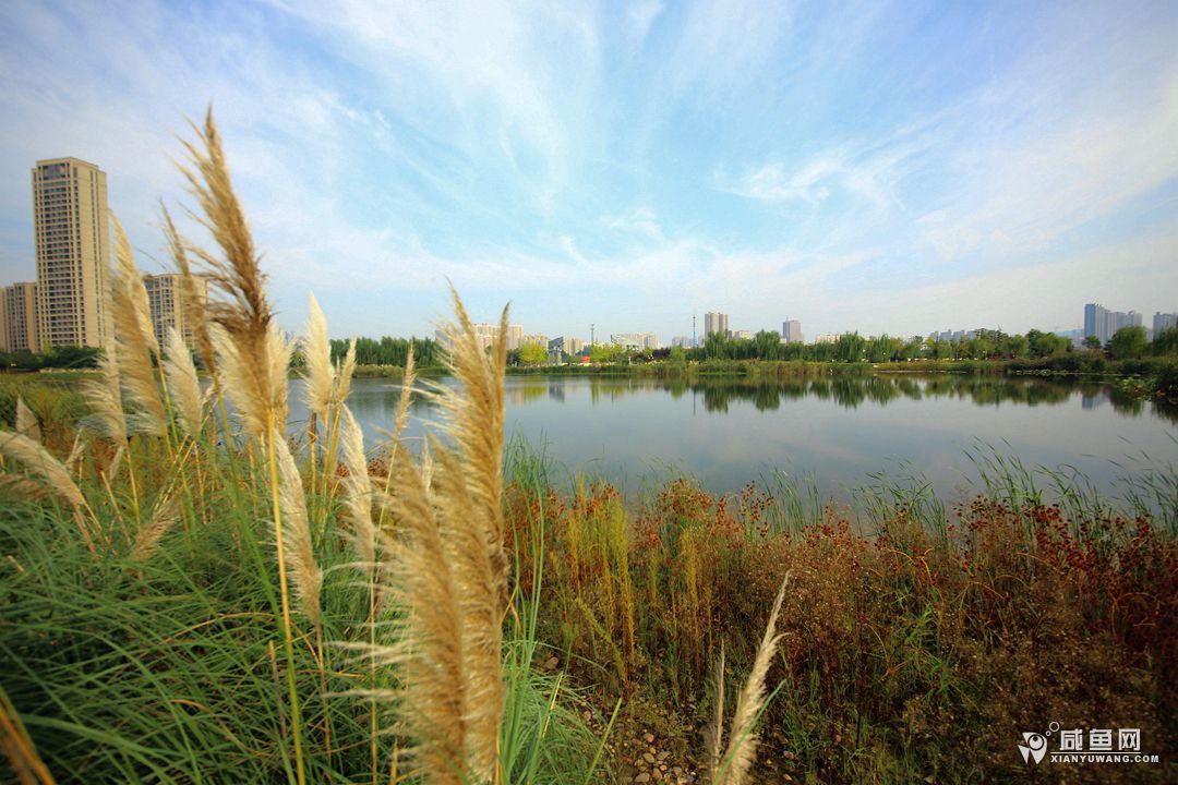 2Y5A0072_副本.jpg