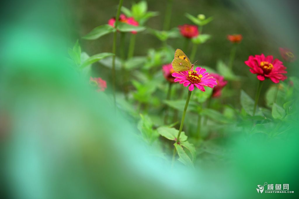2Y5A1215_副本.jpg