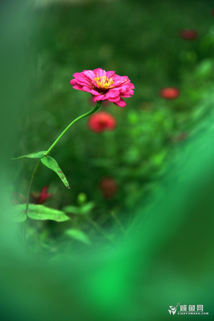 2Y5A1222_副本.jpg