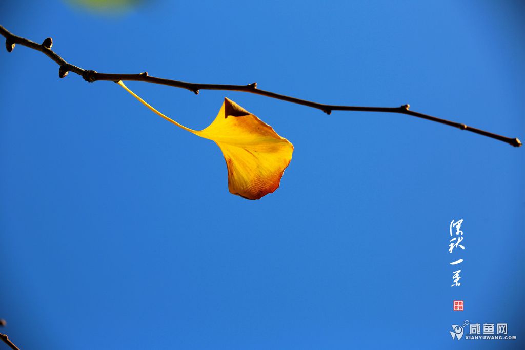 2Y5A0840.JPG