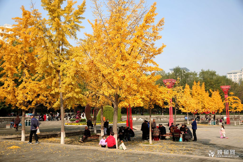 2Y5A2181.JPG