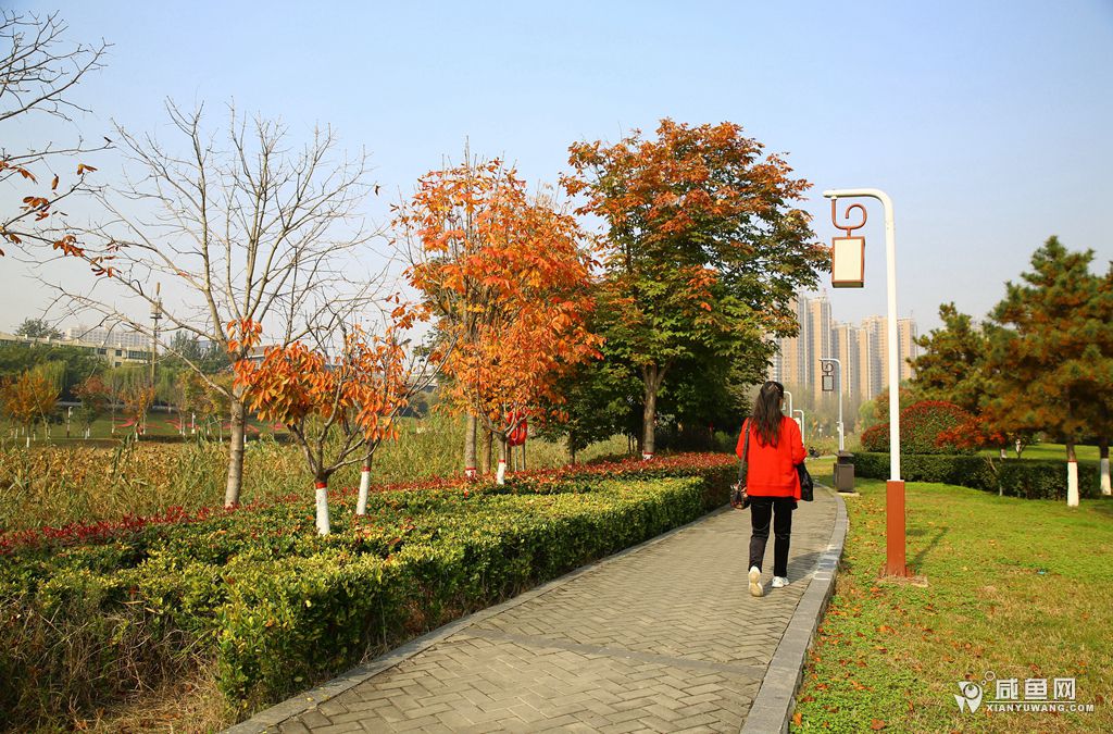 2Y5A2235.JPG