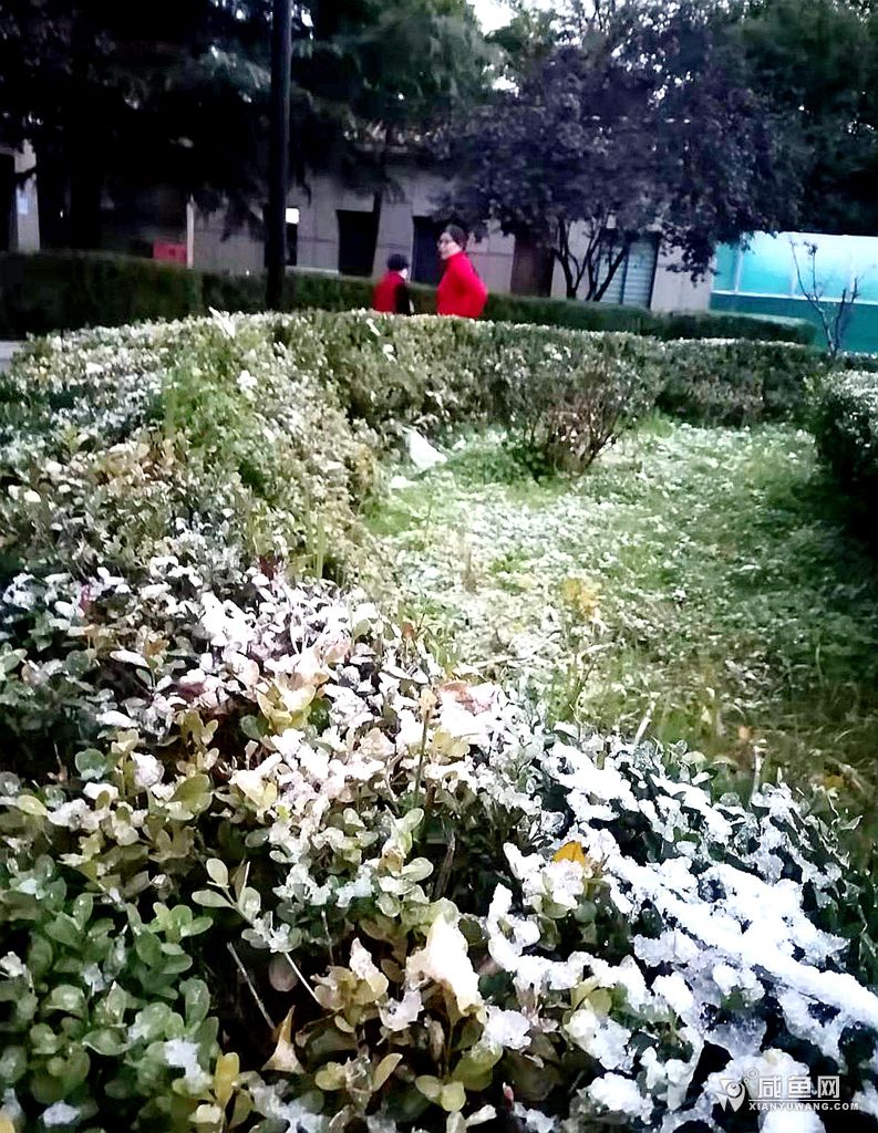 微信图片_20211107083149.jpg