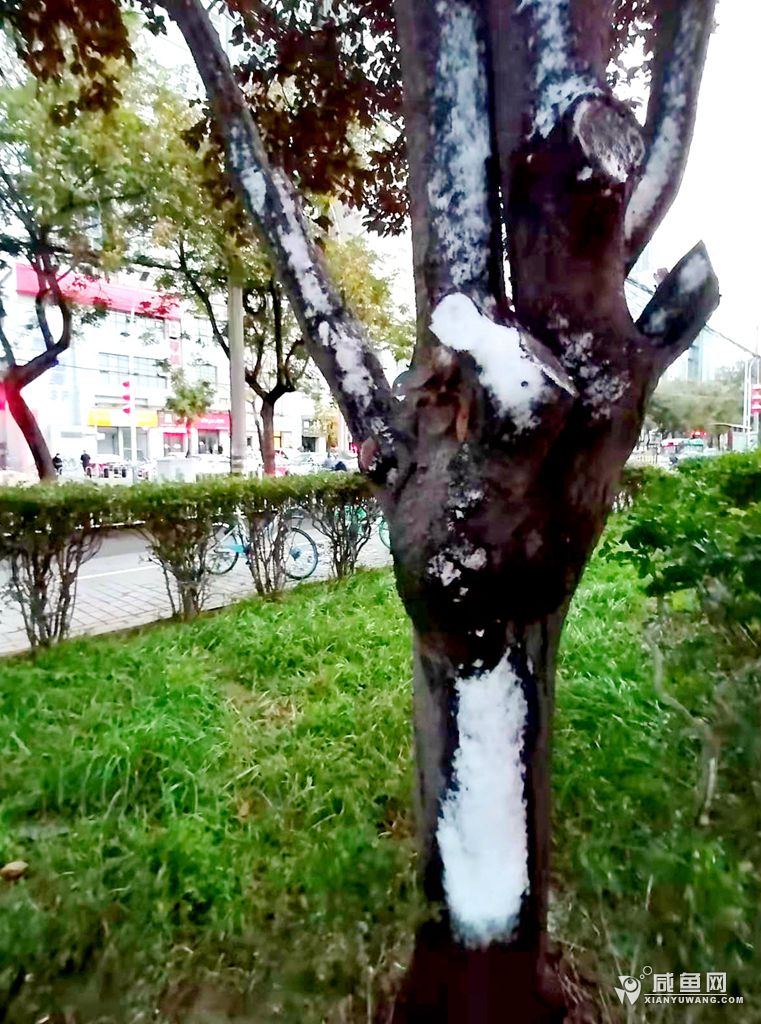 微信图片_20211107083304.jpg
