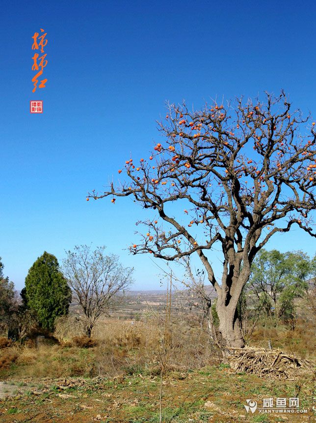 2Y5A2578_副本.jpg
