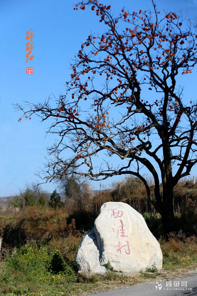 2Y5A2628_副本.jpg