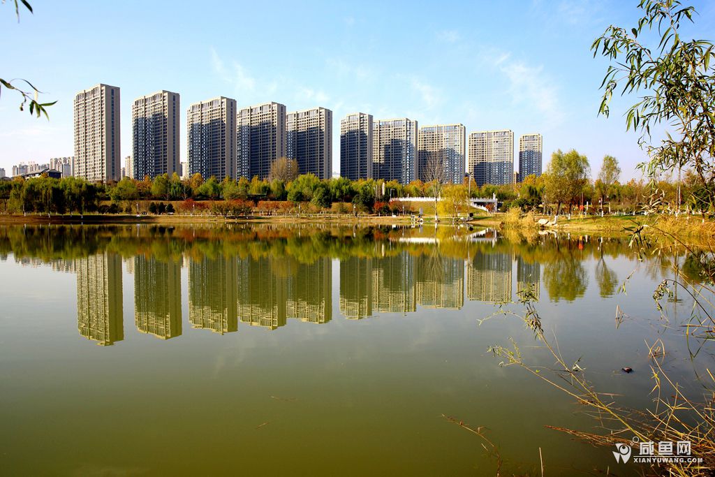 2Y5A2985_副本.jpg