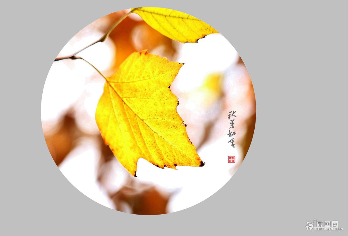 2Y5A3667_副本.jpg