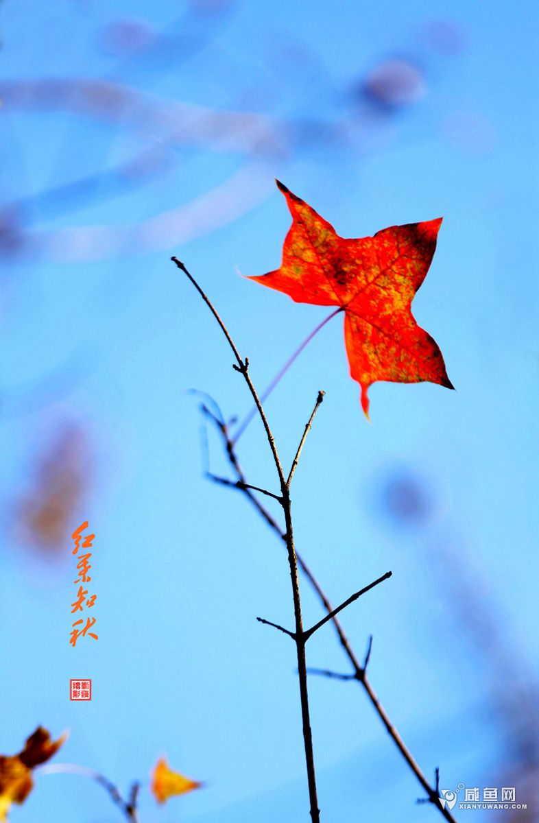 2Y5A3745_副本.jpg