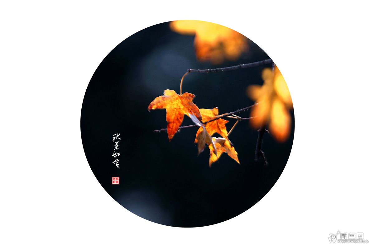 2Y5A3754_副本.jpg