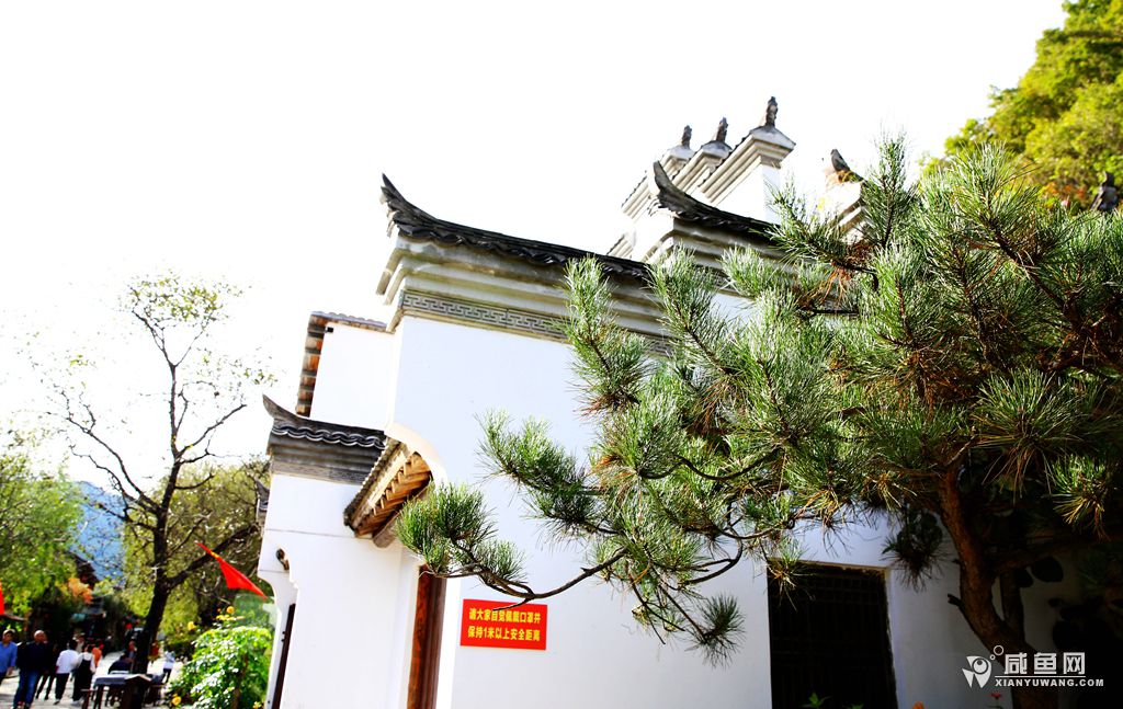 2Y5A1543_副本.jpg