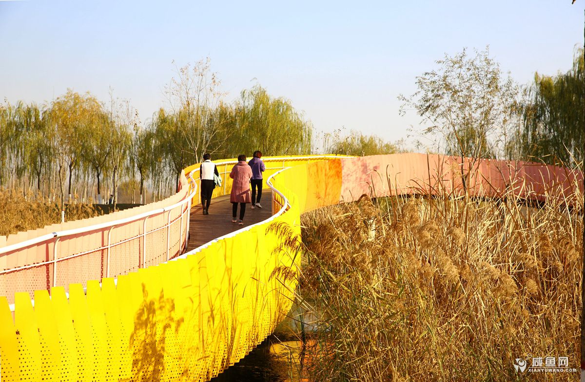 2Y5A3790_副本.jpg