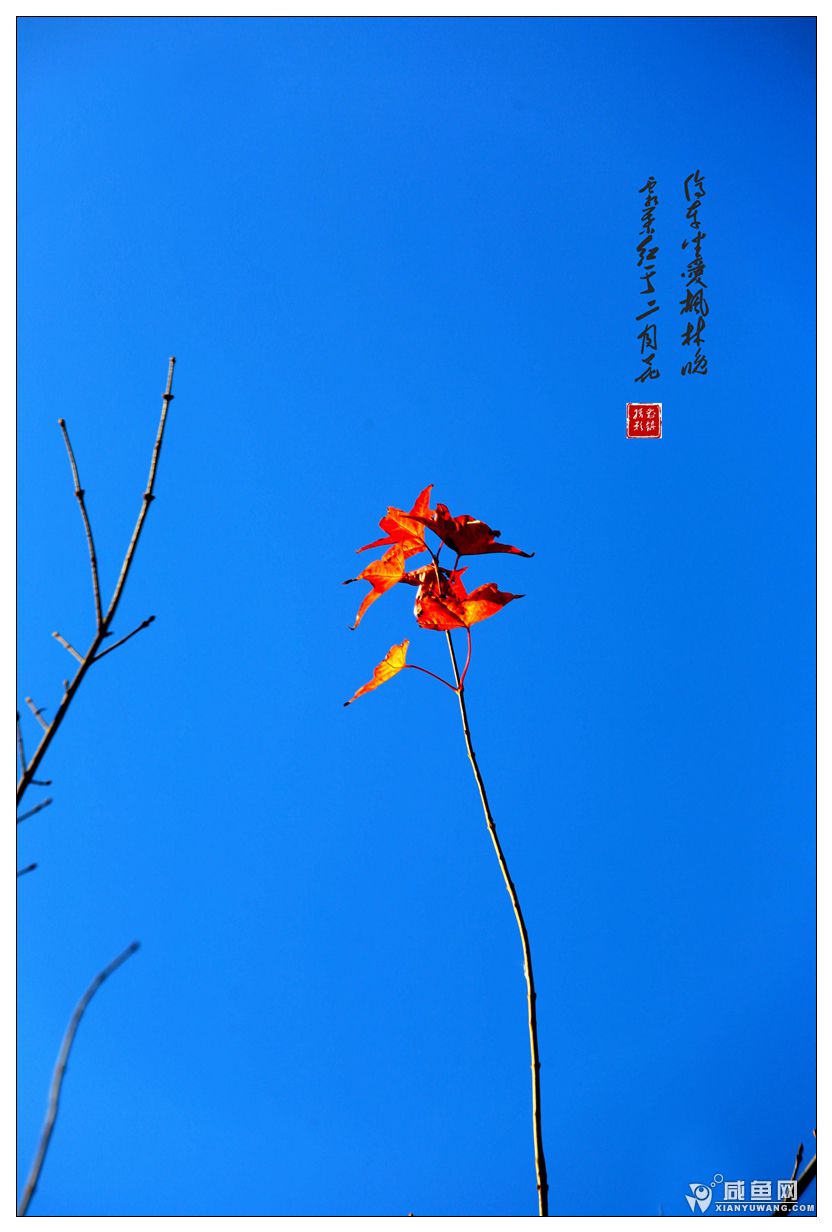 2Y5A4521_副本.jpg