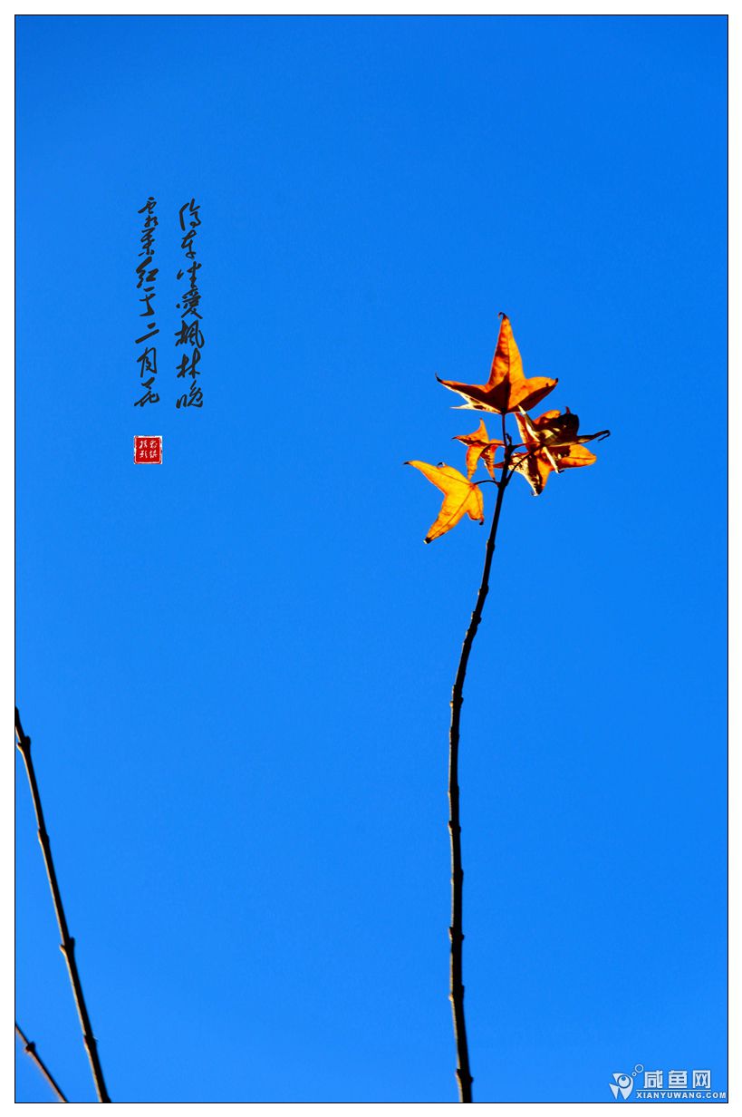 2Y5A4518_副本.jpg