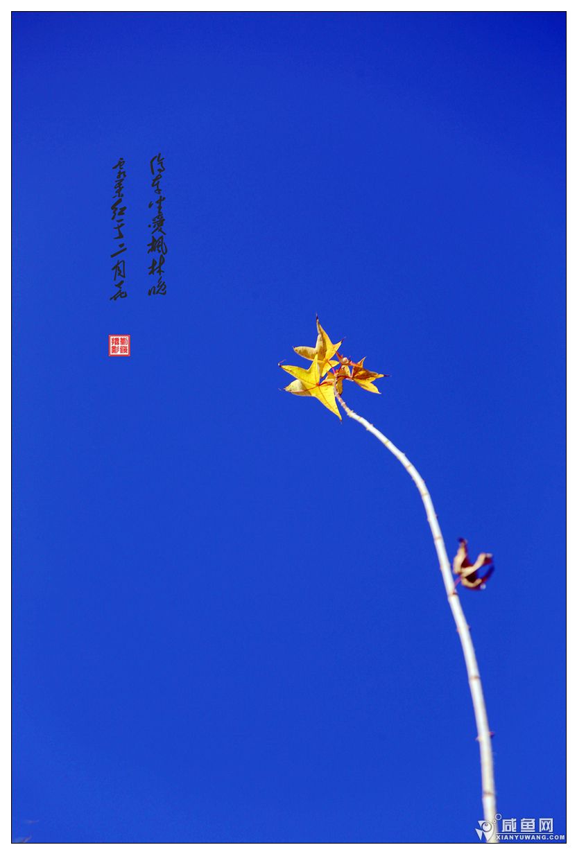 2Y5A4532_副本.jpg