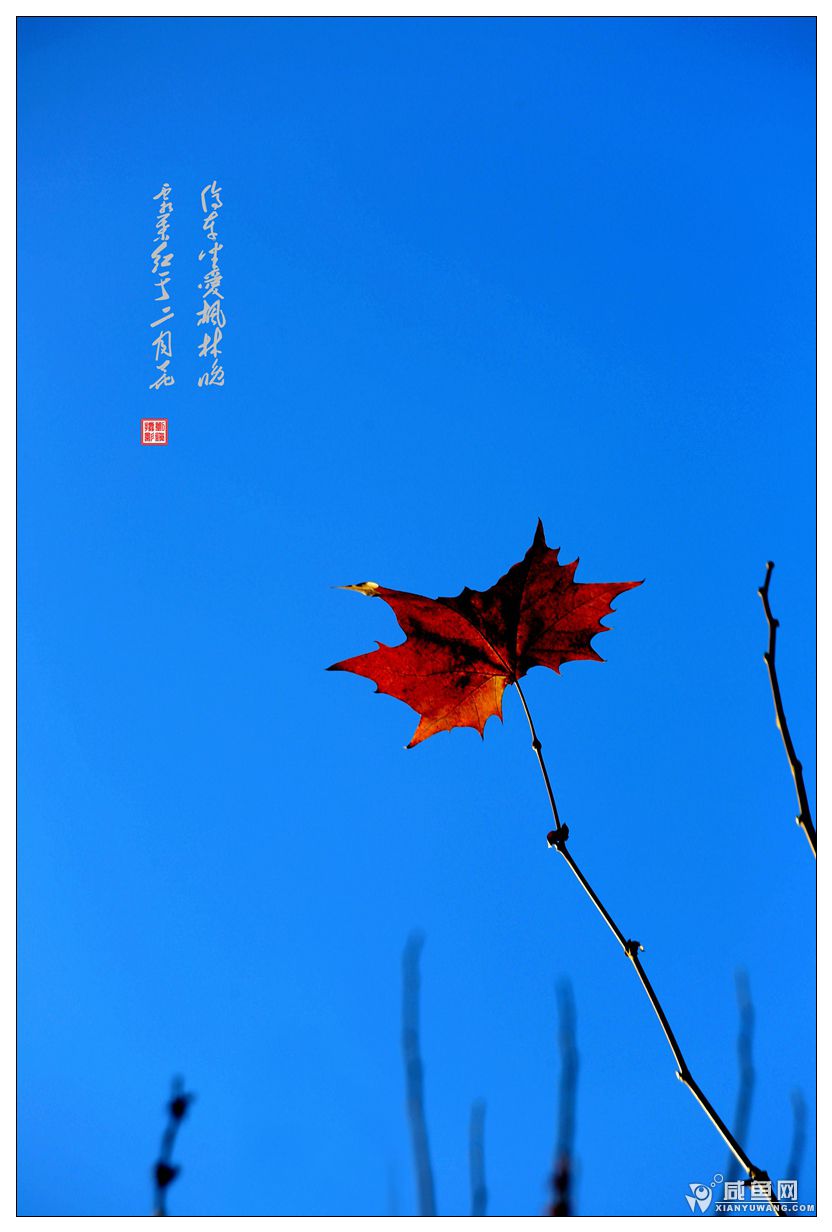 2Y5A4539_副本.jpg
